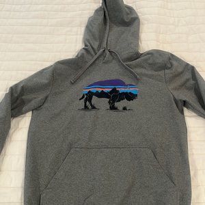 Patagonia hoody